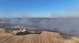 Silivri'de Büyük Orman Yangını: 100 Hektar Zarar Gördü