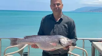 Sinop'ta 6,5 Kilogramlık Beyaz Kötek Balığı Yakalandı
