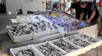 Sinop'ta Balıkçılar Umutsuz: Av Sezonu Beklentileri Tükeniyor