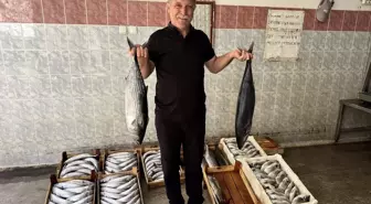 Sinop'ta Balıkçılar 9 Bin Palamut Avladı