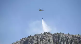 Sinop'ta Orman Yangınına Müdahale Sürekli Devam Ediyor
