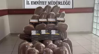 Sinop'ta Kaçakçılık Operasyonu: 1 Şüpheli Yakalandı
