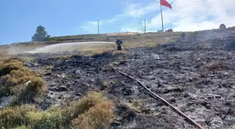Sinop'ta Makilik Alanda Yangın Söndürüldü
