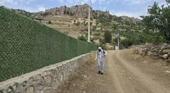 Şırnak'ta Çekirge İlaçlaması: 700 Dekar Alanda Çalışmalar Başlatıldı