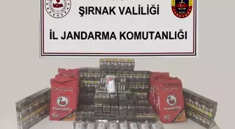 Şırnak'ta Kaçakçılık Operasyonu: 13 Gözaltı