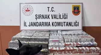 Şırnak'ta Kaçakçılık Operasyonunda 44 Kişi Yakalandı, 2 Tutuklandı
