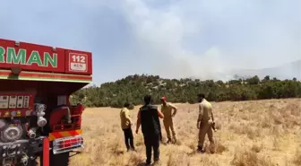 Şırnak'ta Orman Yangınına Havadan ve Karadan Müdahale
