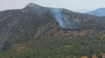 Şırnak'ta Orman Yangınına Hızlı Müdahale