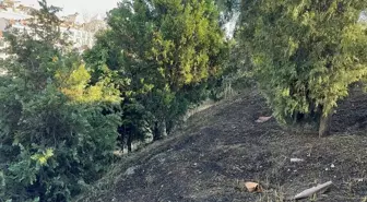Şişli'de Ağaçlık Alanda Yangın