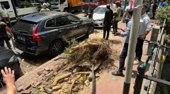 Şişli'de Ağaç Devrildi, İki Otomobil Zarar Gördü
