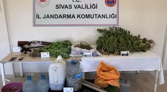 Zara'da Uyuşturucu Operasyonu: 3 Tutuklama