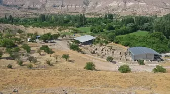 Sobesos Antik Kenti'nde Kazılar Yaygınlaştırılacak