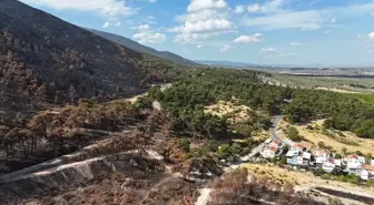 Öğrenciler Orman Yangınlarını İnceledi