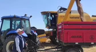 Sorgun'da Buğday Hasadı Törenle Başladı