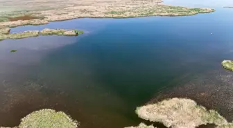 Eber Gölü'nde Su Seviyesi Tehlikeye Girdi