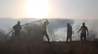 Lazkiye'deki Orman Yangınları 4 Gündür Devam Ediyor, 1 Sivil Savunma Görevlisi Hayatını Kaybetti