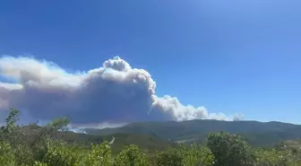 Suriye'de Lazkiye Bölgesinde Orman Yangınları Çıkıyor