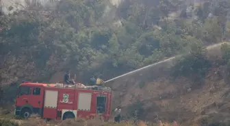 Suriye'de Aşırı Sıcaklar Orman Yangınlarına Neden Oldu