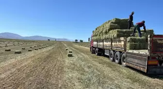 Talas Belediyesi'nden Hayvancılığa Destek Projesi