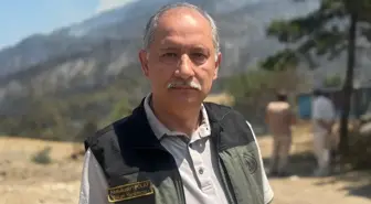 Sakarya'da Orman Yangını: 13 Helikopter ve 8 Uçakla Mücadele