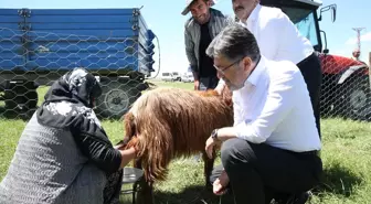 Bakan Yumaklı: Üretim Potansiyelimizi Değerlendirmeliyiz
