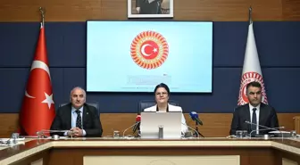 TBMM’de Ayrımcılığın Önlenmesi Alt Komisyonu Kuruldu