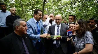 TBMM Komisyonu, Fındık Üreticilerinin Don Hasarını İnceledi