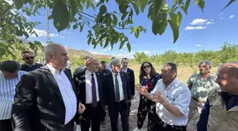 TBMM Komisyonu Adıyaman'daki Zirai Donu İnceledi