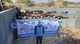 Türkiye Diyanet Vakfı, Mozambik'te Vekaletle Kurban Kesimine Başladı