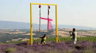 Tekirdağ'da Lavanta Turizmi Büyüyor