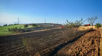Malkara'da Yangın: 200 Dekar Buğday Alanı Yandı