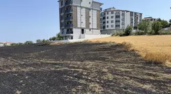 Tekirdağ'da Buğday Tarlasında Yangın: 30 Dekar Alan Yandı