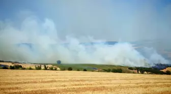 Tekirdağ'da Yangın İle Mücadele Ediliyor