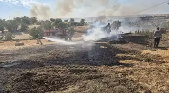 Tekirdağ'da Anız Yangını 60 Dekar Alanı Harap Etti
