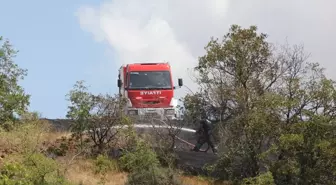 Tekirdağ'da Anız Yangını Ormana Sıçradı