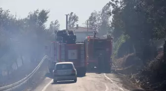 Tekirdağ'da Anız Yangını Ağaçlık Alana Sıçradı