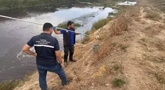 Tekirdağ'da Atık Su Krizi: Çorlu Çayı'na Arıtılmadan Deşarj Edildi
