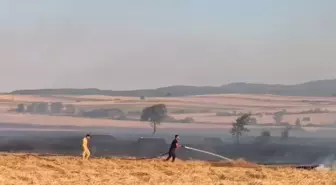 Tekirdağ'da Anız Yangını Kontrol Altına Alındı
