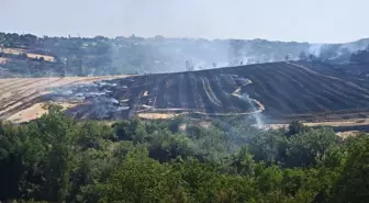 Malkara'da Anız Yangını Kontrol Altına Alındı