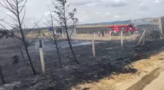 Tekirdağ'da Anız Yangını: 200 Dönüm Tarım Arazisi Zarar Gördü