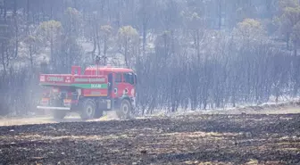 Tekirdağ'da Orman Yangınına Hızla Müdahale Ediliyor
