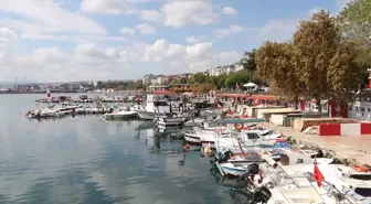 Tekirdağlı Balıkçılar İstavritle Gülüyor