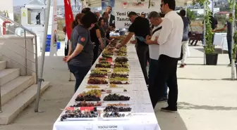 Tekirdağ'da 23 Yeni Üzüm Çeşidi Tanıtıldı