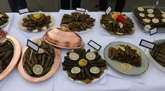 Tekirdağ'da Zeytinyağlı Sarma Yarışması Düzenlendi