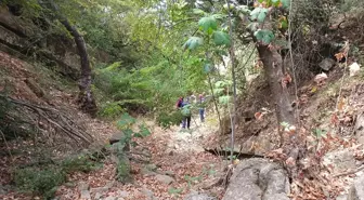 Tekirdağ'da Kayıp Yaşlı Kadın Ölü Bulundu