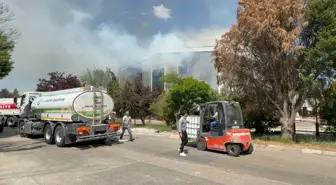 Tekirdağ'da Kimyasal Üretim Yapan Fabrikada Yangın Çıktı