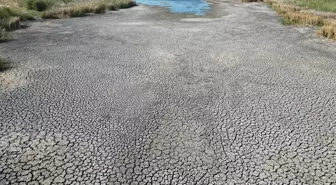 Kırkkepenekli Göleti Kuruma Noktasına Geldi