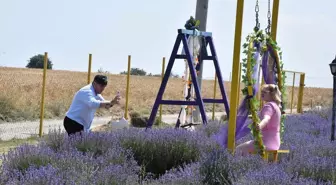 Çerkezköy'de Lavanta Bahçeleri Ziyaretçilerini Ağırlıyor