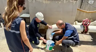 Marmara Denizi'ndeki Müsilaj Oluşumlarını Önlemek İçin Tekirdağ'da Denetim Yapıldı