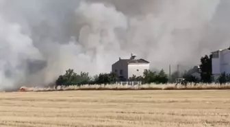 Tekirdağ'da Otluk Alanda Başlayan Yangın Kontrol Altına Alındı